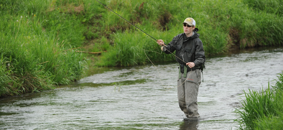 Driftless Angler Home Page