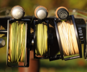Reels