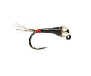 Spanish Bullet