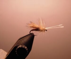 Coulee Caddis