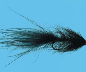 Hale Bopp Leech
