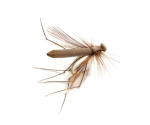 Foam Cranefly