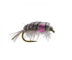 Coulee Scud