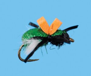 Green Beetle