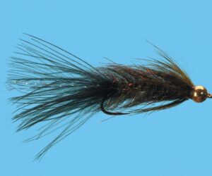 Milwaukee Leech