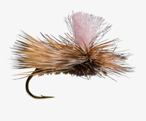 Parachute Caddis