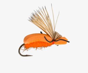 Stupid Orange Beetle