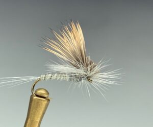 Tilt Wing Dun