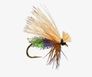 Egg Layer Caddis