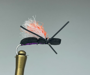 Bad Axe Beetle