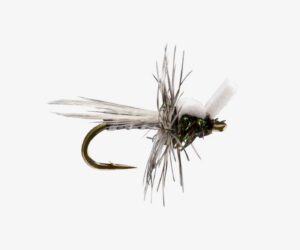 Stillborn Midge