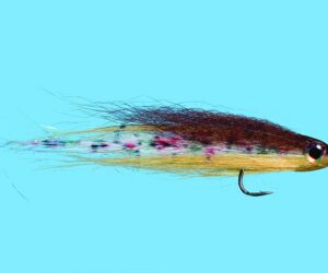 Baby Brown Trout