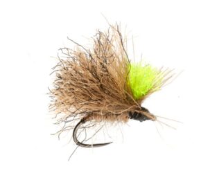New Age Caddis