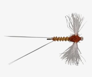 CDC Rusty Spinner