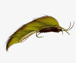 Creek Creature
