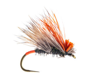 Caddis Dries