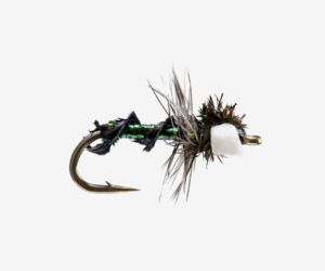 Midge Dries