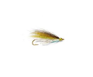 Shiner Minnow