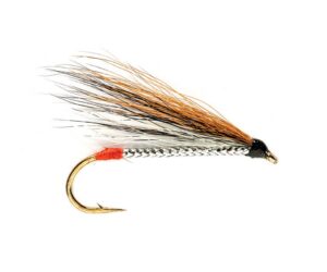 Black Nosed Dace
