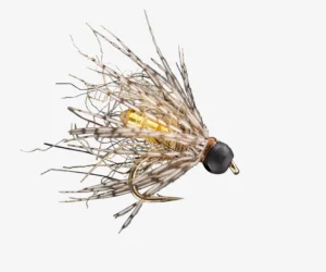 B/O Caddis