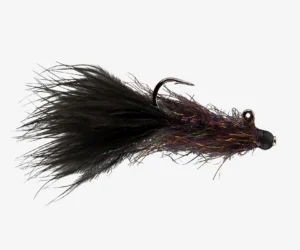 Leeches