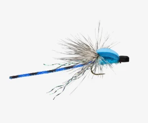 Damselfly
