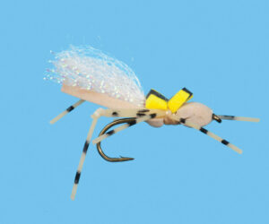 No Name Foam Hopper