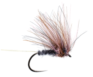 Medusa Caddis