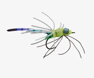 My Oh My Dragonfly