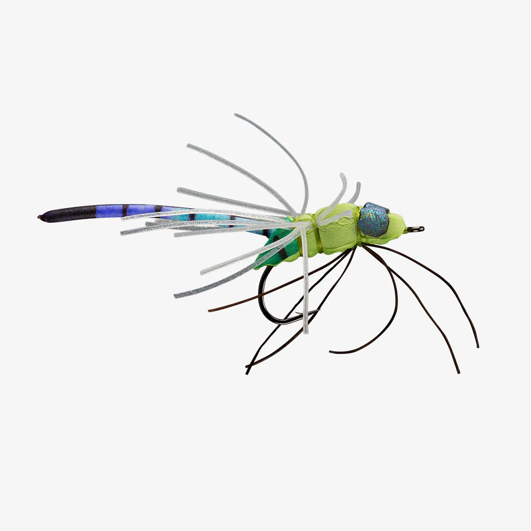 Freshwater-Warmwater-My-Oh-My-Dragonfly-Daner.jpg