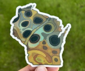 Berman Wisconsin Brown Sticker