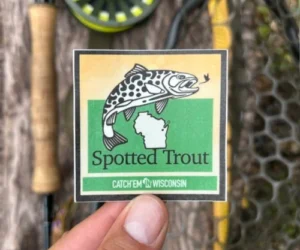 Berman Spotted Trout Sticker