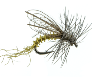 CDC Wing Emerger