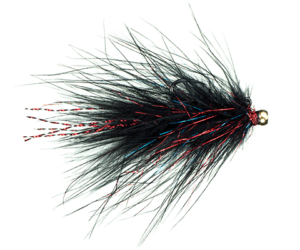 Leech Ontario